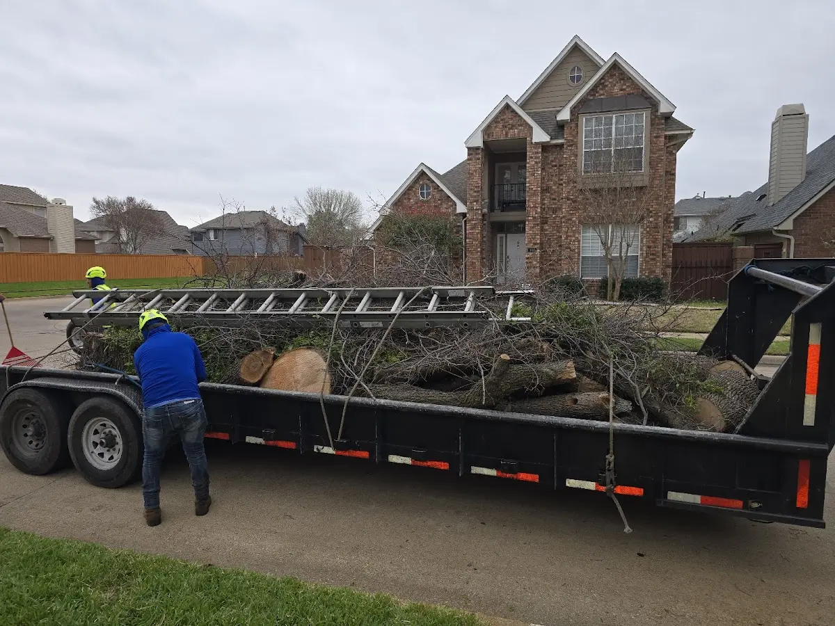 Expert Tree Fertilization with proper safety equipment in Herlong